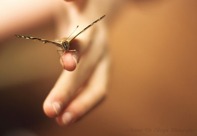 自动化部署的在线短信轰炸